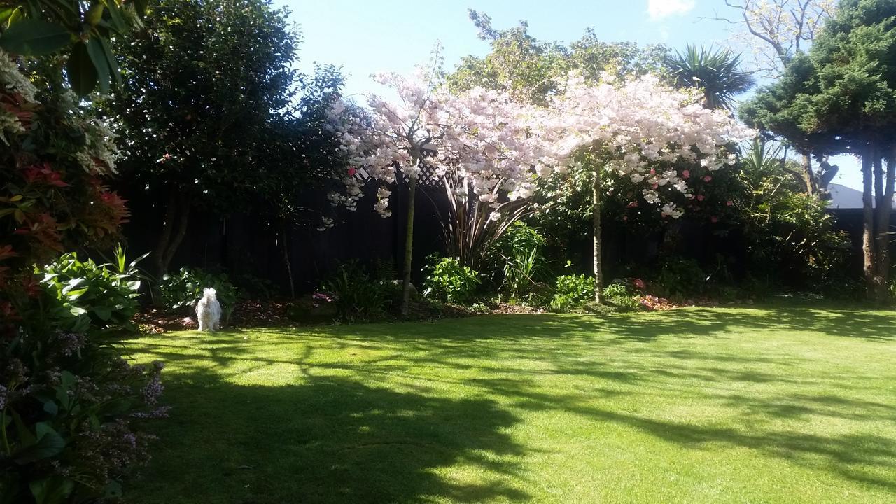 Berni'S Boutique Bnb Christchurch Luaran gambar